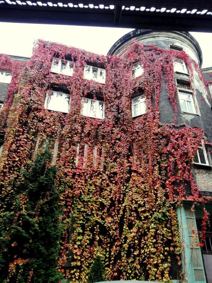 Bristol Economy Bed & Breakfast Битом Екстериор снимка